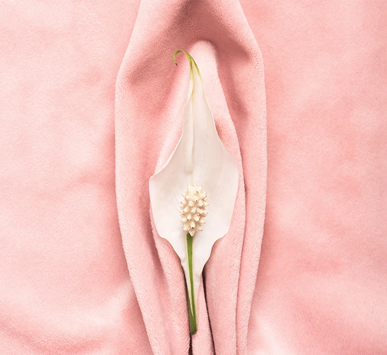 Serivce Image