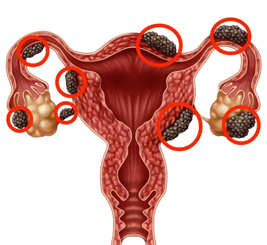 Serivce Image