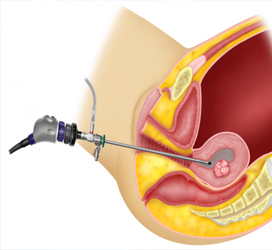 Serivce Image
