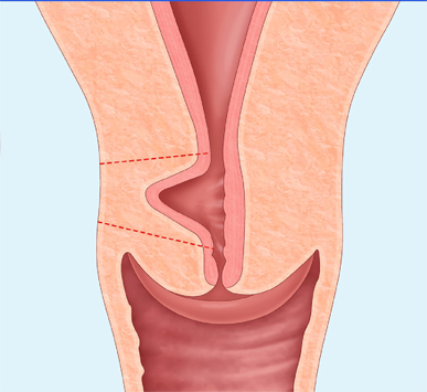 Serivce Image