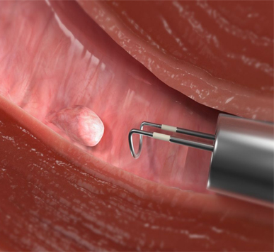 Serivce Image
