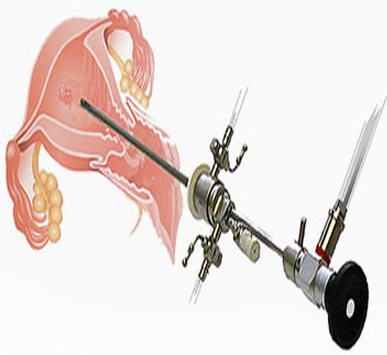 Serivce Image
