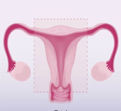 Serivce Image